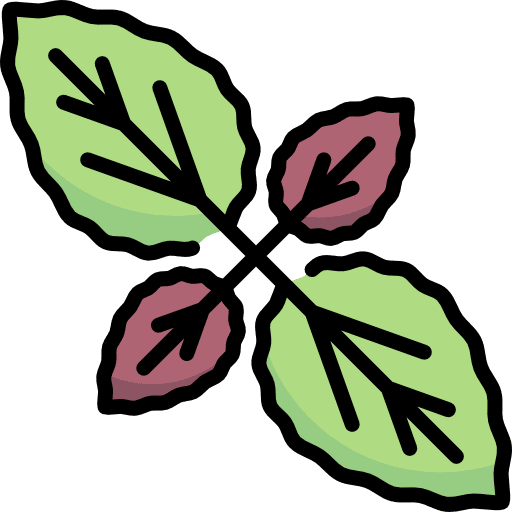 Basil vegan basil nature icon