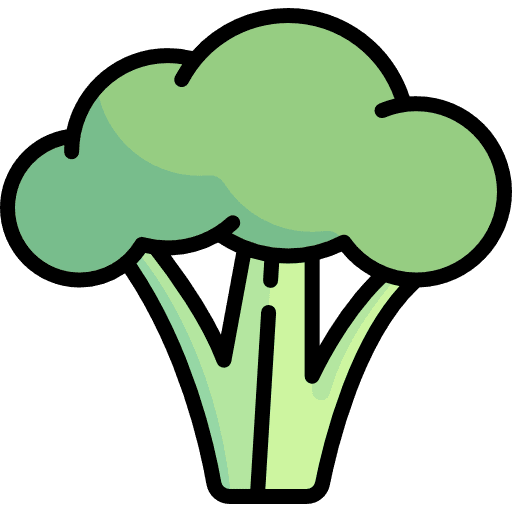 Broccoli broccoli vegetables foods icon