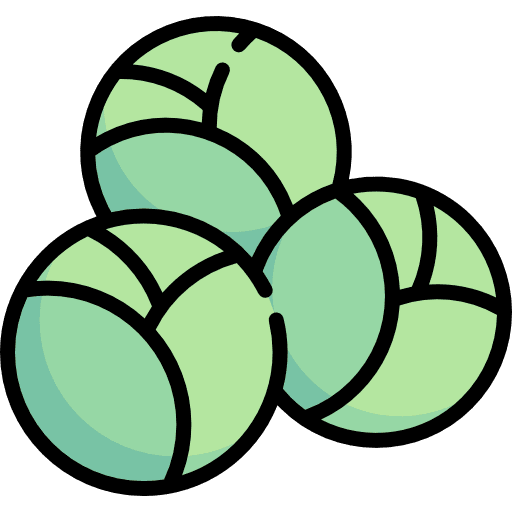 Brussels sprouts vegetable food and restaurant vegan icon