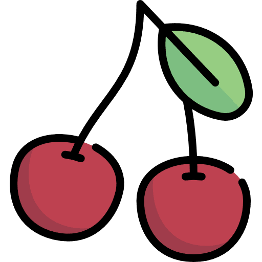 Cherry organic diet vegetarian icon