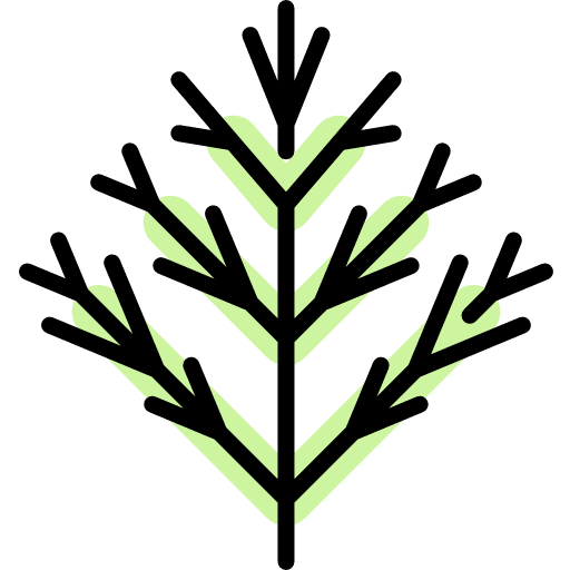 Dill dill aromatic plant icon