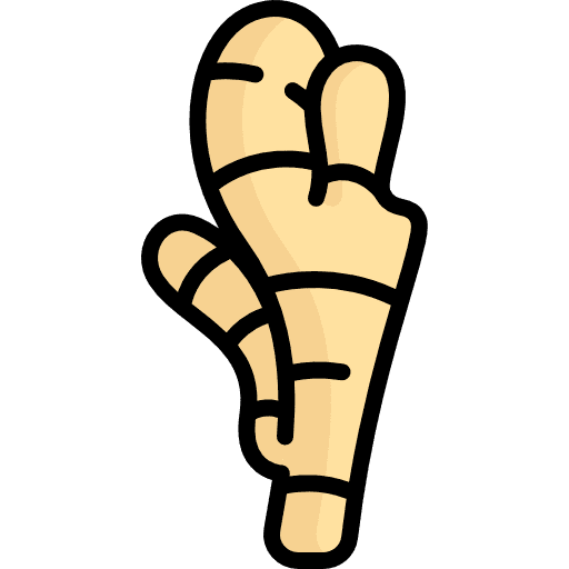 Ginger vegetable root ginger icon