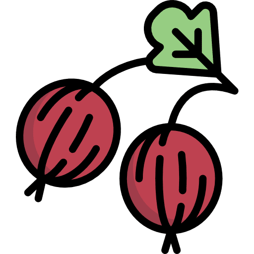 Gooseberry vegetarian food and restaurant food icon