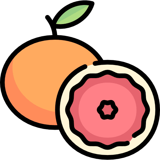 Grapefruit food and restaurant fruit vegan icon
