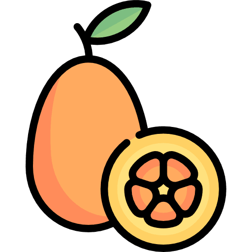 Kumquat food and restaurant kumquat citrus icon