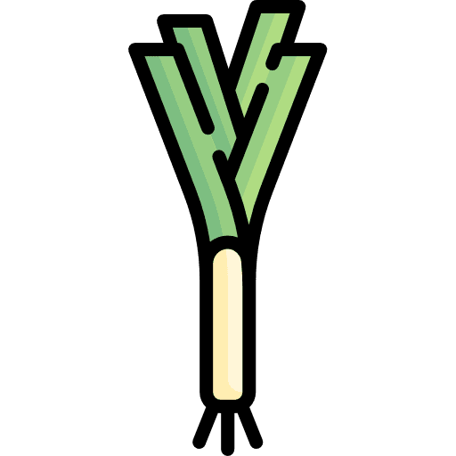 Leek leek vegetarian healthy food icon