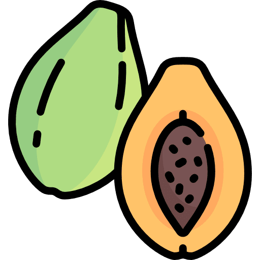 Papaya papaya fruit vegetarian icon