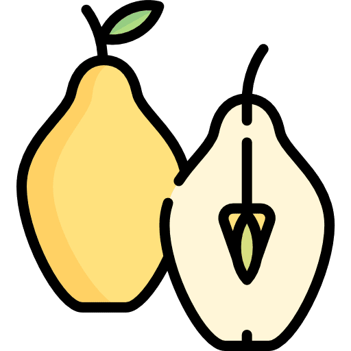 Quince vegetarian healthy food food icon