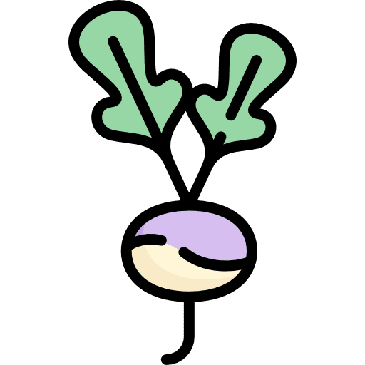 Radish healthy food food and restaurant vegetable icon