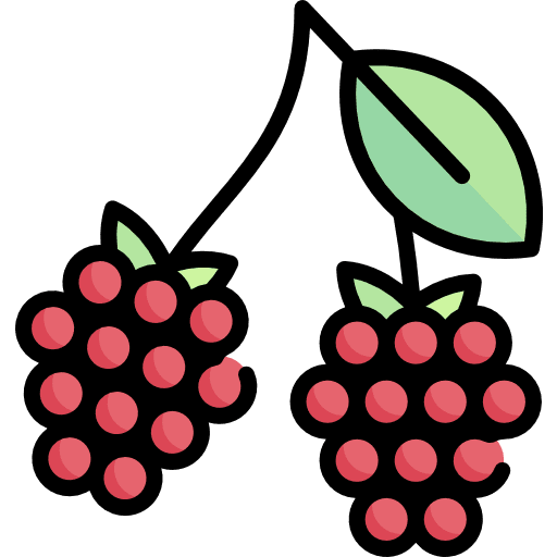 Raspberry food and restaurant fruit blackberry icon