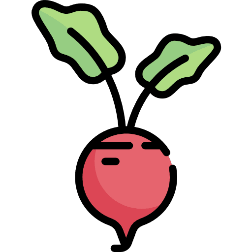 Beet organic vegan diet icon