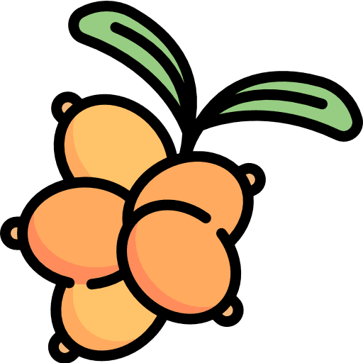 Berries food and restaurant berry food icon