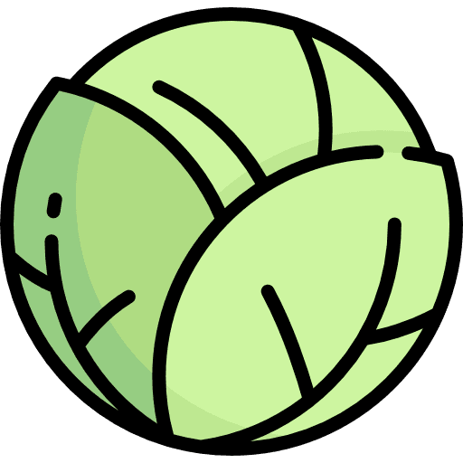 Cabbage diet healthy food vegetarian icon