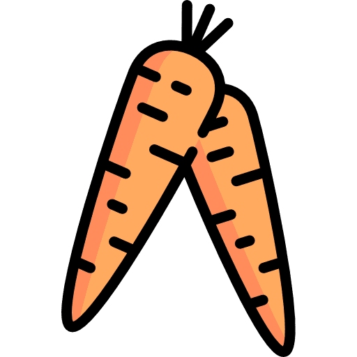 Carrot healthy food food vegetable icon