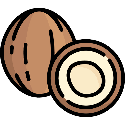 Coconut coconut vegetarian organic icon