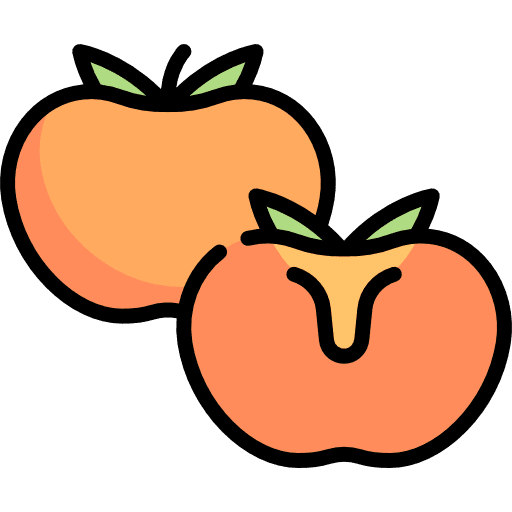 Persimmon fruit organic vegan icon
