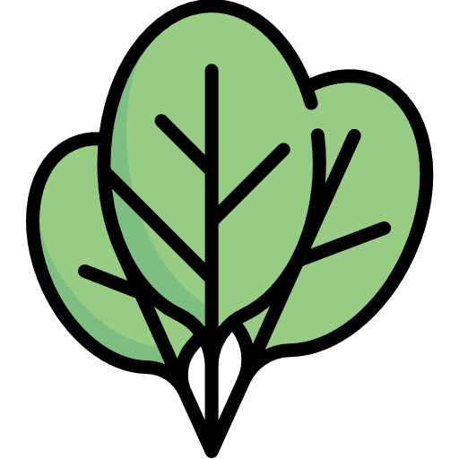 Spinach spinach diet food icon