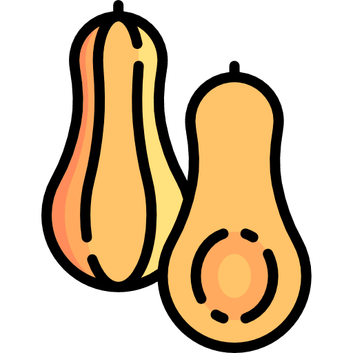 Squash vegan organic food and restaurant icon