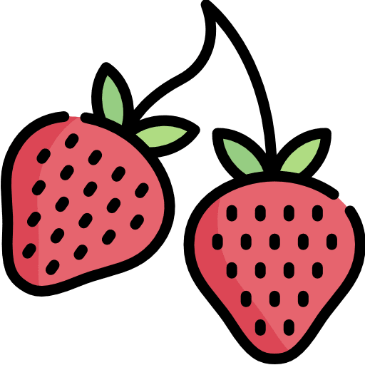 Strawberry diet vegan fruit icon