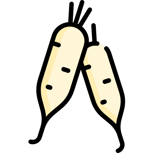 Turnip healthy food vegan diet icon