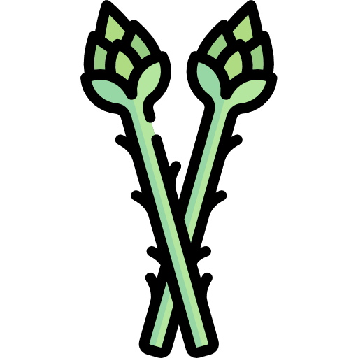 Asparagus healthy asparagus cook icon