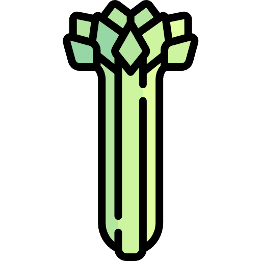 Celery food and restaurant celery vegetarian icon