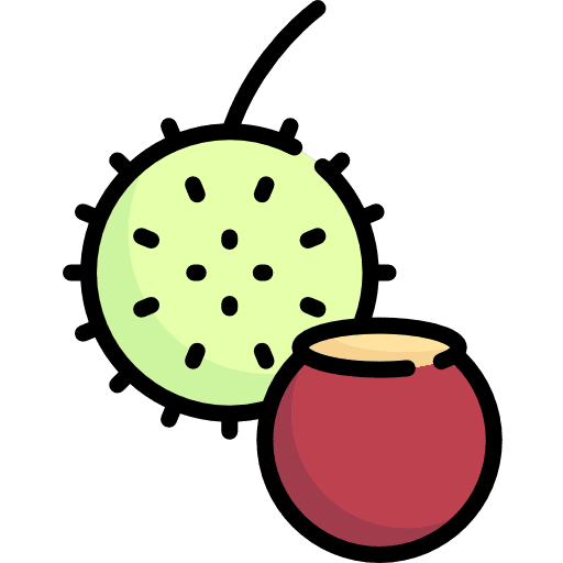 Chestnut vegetarian healthy food vegan icon