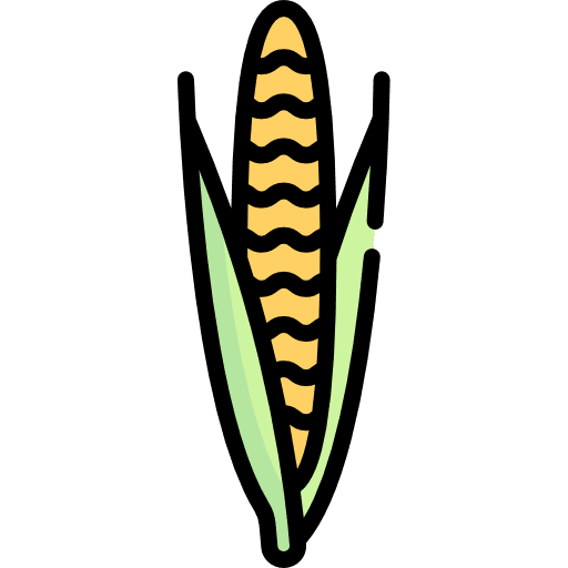 Corn cereal diet healthy food icon