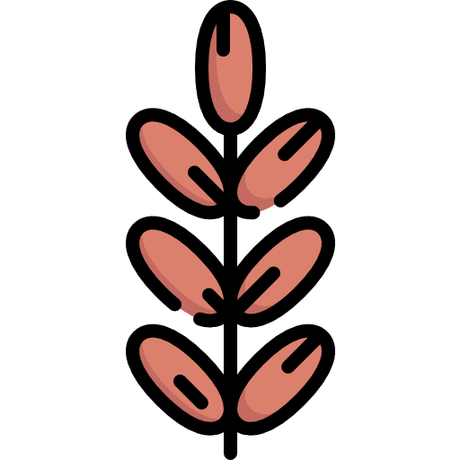 Date food vegetarian vegan icon