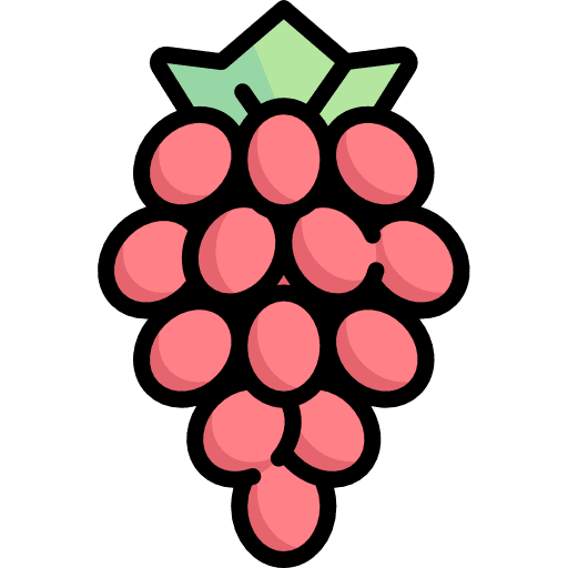 Grapes organic diet vegan icon