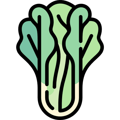 Lettuce healthy food food diet icon