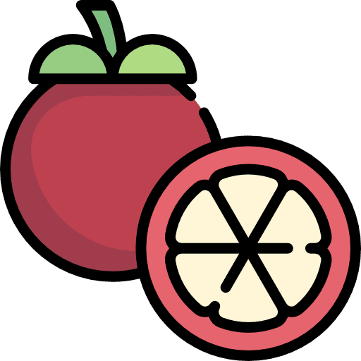 Mangosteen vegan mangosteen healthy food icon