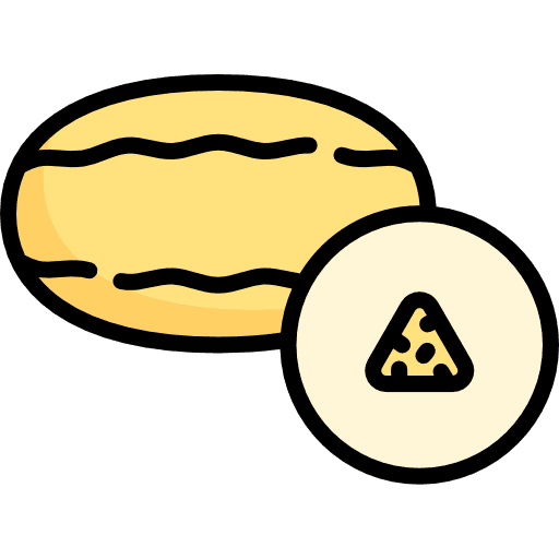 Melon food and restaurant healthy food vegetarian icon