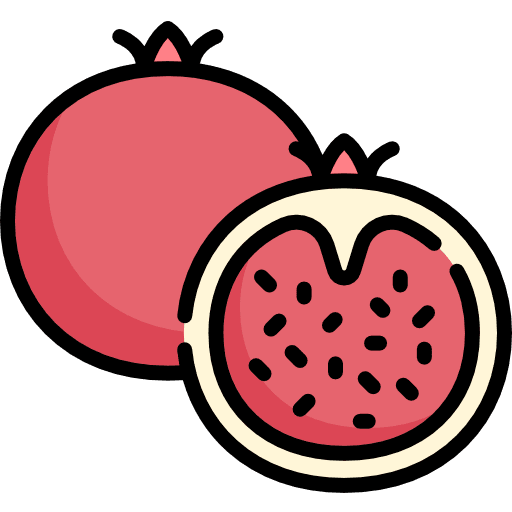 Pomegranate organic fruit healthy food icon