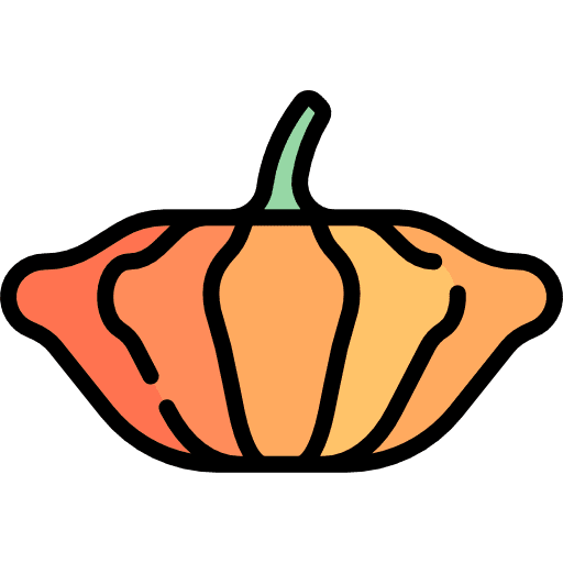 Pumpkin healthy food fruit pumpkin icon