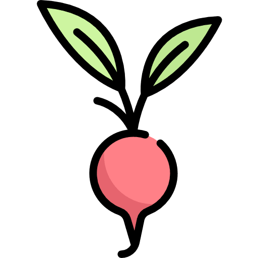 Radish radish vegan diet icon