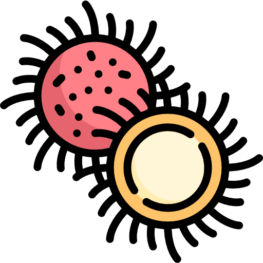 Rambutan rambutan lychee food and restaurant icon