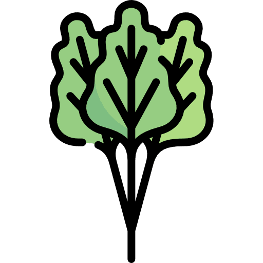 Rhubarb food and restaurant rhubarb vegetarian icon