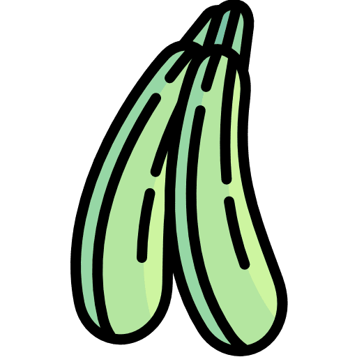 Zucchini diet vegetables food icon