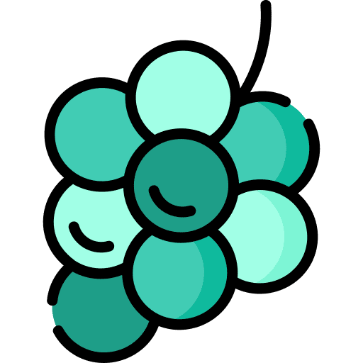 Grapes fruit healthy vegan icon Grapes fruit healthy vegan icon