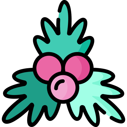 Mistletoe mistletoe nature xmas icon Mistletoe mistletoe nature xmas icon