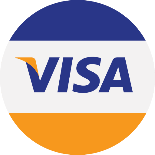 Visa visa credit card visa commerce and shopping icon