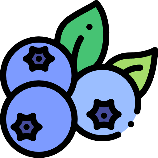 Blueberries fruit blueberries dessert icon