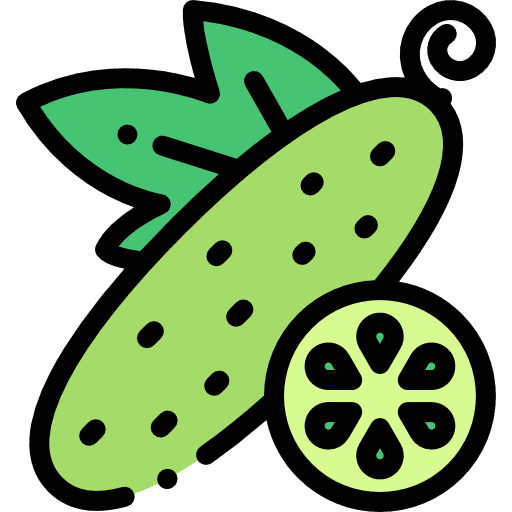 Cucumber fruit diet organic icon Cucumber fruit diet organic icon