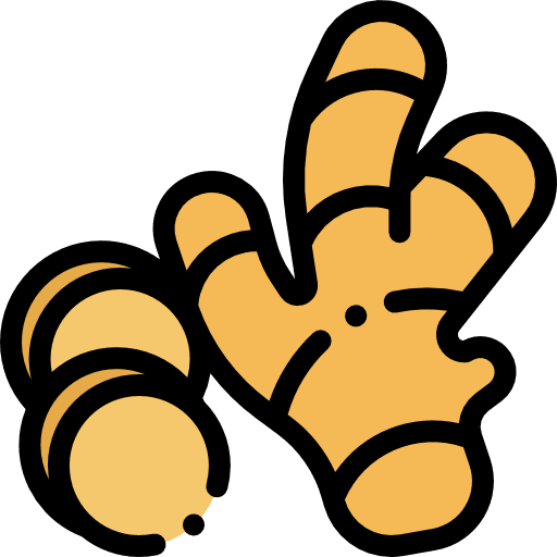 Ginger ingredient ripe vegetable icon