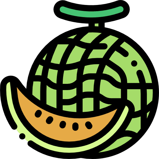 Melon melon food healthy food icon Melon melon food healthy food icon