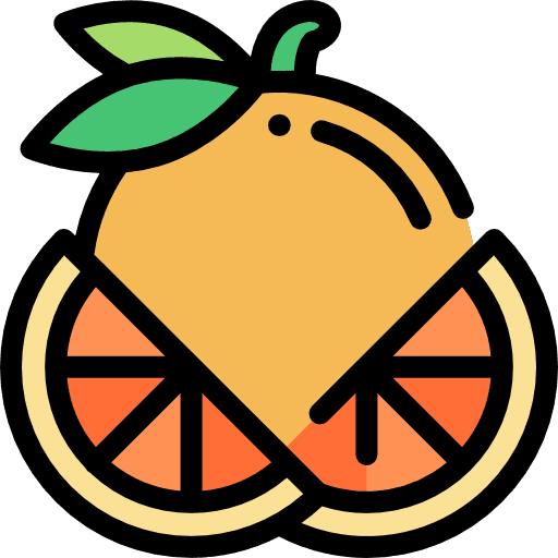 Orange diet vegetarian healthy food icon Orange diet vegetarian healthy food icon