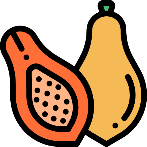 Papaya diet papaya vegetarian icon Papaya diet papaya vegetarian icon