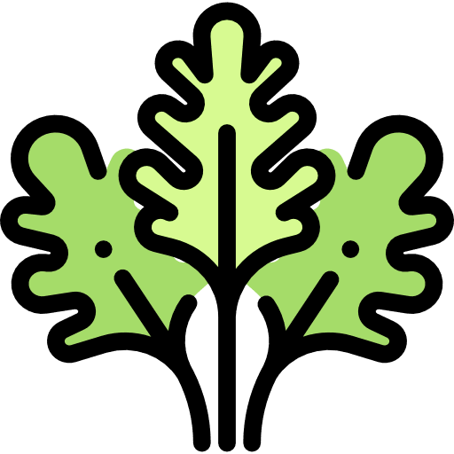 Parsley food and restaurant food vegetarian icon Parsley food and restaurant food vegetarian icon