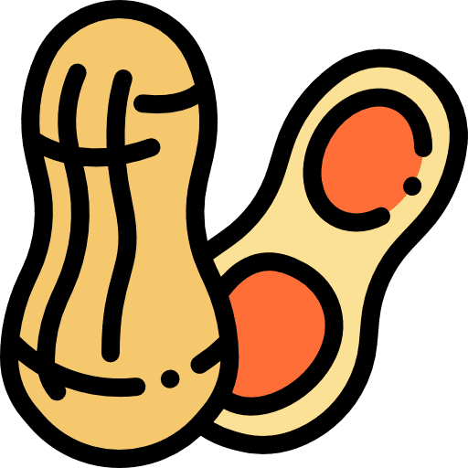 Peanut peanuts vegetarian food icon Peanut peanuts vegetarian food icon